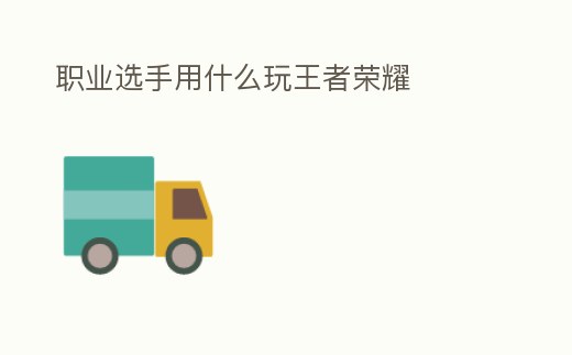 職業選手用什么玩王者榮耀