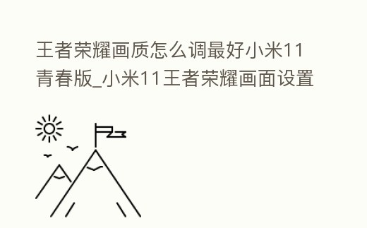 王者榮耀畫質(zhì)怎么調(diào)最好小米11青春版_小米11王者榮耀畫面設(shè)置