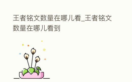 王者銘文數量在哪兒看_王者銘文數量在哪兒看到