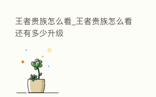 王者貴族怎么看_王者貴族怎么看還有多少升級