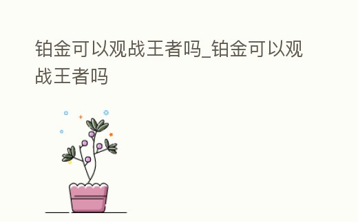 鉑金可以觀戰王者嗎_鉑金可以觀戰王者嗎