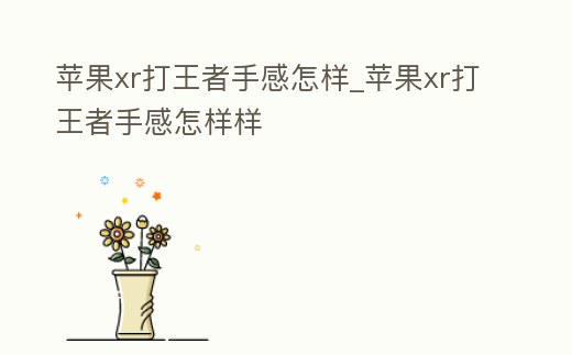 蘋果xr打王者手感怎樣_蘋果xr打王者手感怎樣樣