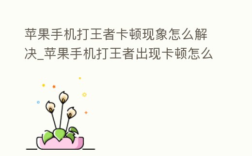 蘋果手機打王者卡頓現象怎么解決_蘋果手機打王者出現卡頓怎么辦