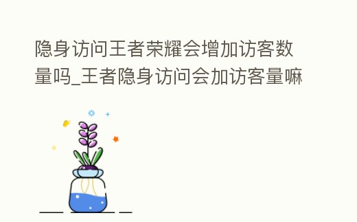 隱身訪問王者榮耀會增加訪客數量嗎_王者隱身訪問會加訪客量嘛