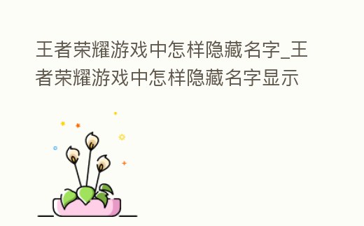 王者榮耀游戲中怎樣隱藏名字_王者榮耀游戲中怎樣隱藏名字顯示