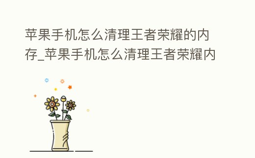 蘋果手機(jī)怎么清理王者榮耀的內(nèi)存_蘋果手機(jī)怎么清理王者榮耀內(nèi)存垃圾清理
