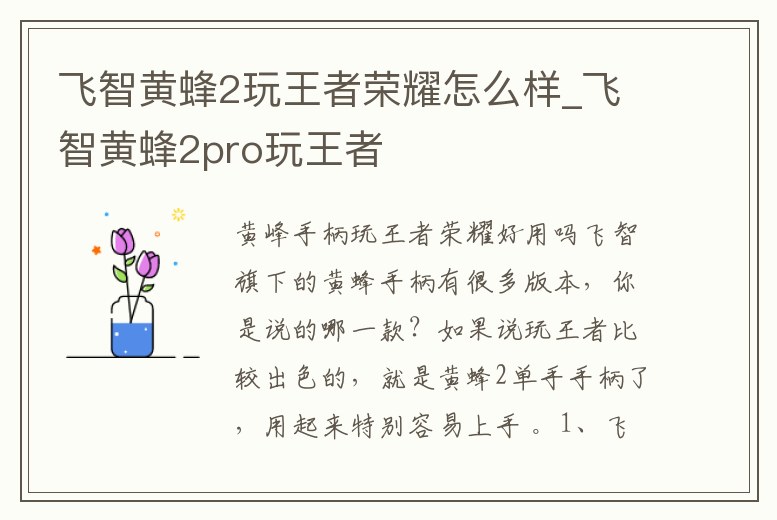 飛智黃蜂2玩王者榮耀怎么樣_飛智黃蜂2pro玩王者