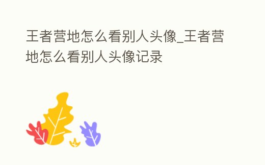 王者營地怎么看別人頭像_王者營地怎么看別人頭像記錄