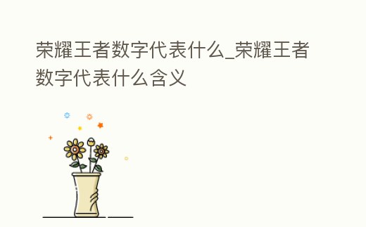 榮耀王者數(shù)字代表什么_榮耀王者數(shù)字代表什么含義