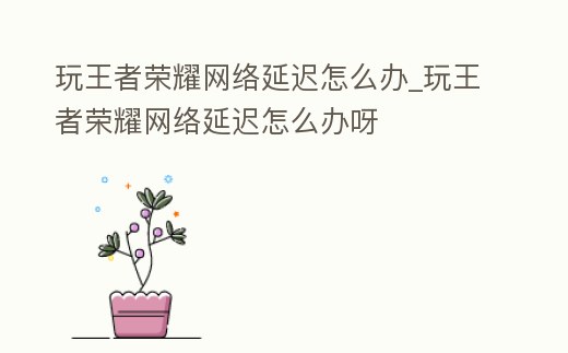 玩王者榮耀網絡延遲怎么辦_玩王者榮耀網絡延遲怎么辦呀