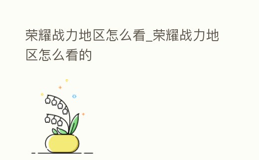 榮耀戰力地區怎么看_榮耀戰力地區怎么看的