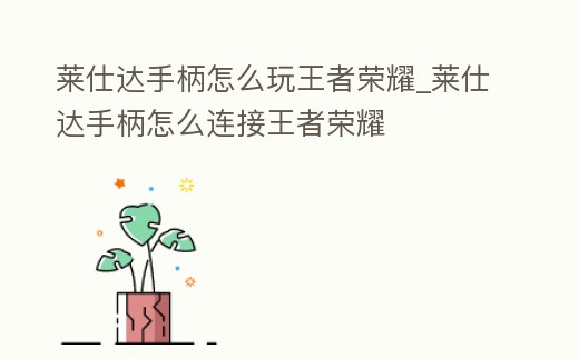 萊仕達(dá)手柄怎么玩王者榮耀_萊仕達(dá)手柄怎么連接王者榮耀