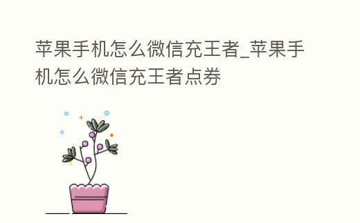 蘋果手機怎么微信充王者_蘋果手機怎么微信充王者點券