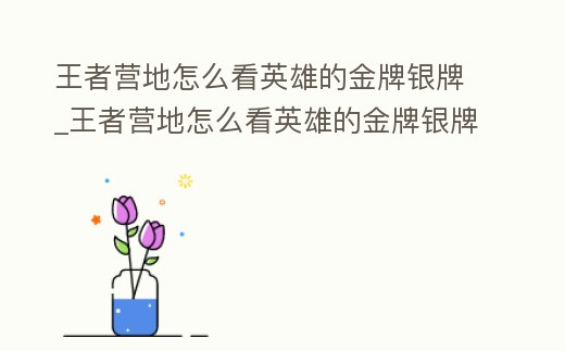 王者營地怎么看英雄的金牌銀牌_王者營地怎么看英雄的金牌銀牌排名
