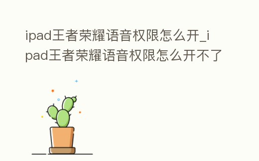 ipad王者榮耀語音權限怎么開_ipad王者榮耀語音權限怎么開不了