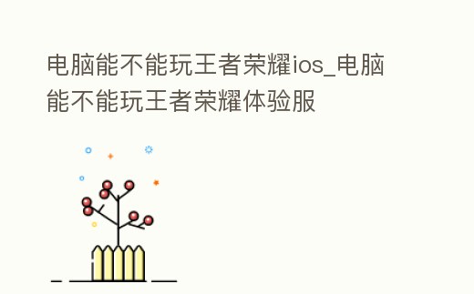 電腦能不能玩王者榮耀ios_電腦能不能玩王者榮耀體驗服