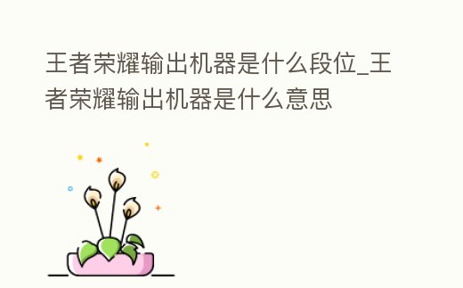 王者榮耀輸出機器是什么段位_王者榮耀輸出機器是什么意思