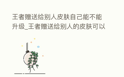 王者贈送給別人皮膚自己能不能升級_王者贈送給別人的皮膚可以還給別人嗎