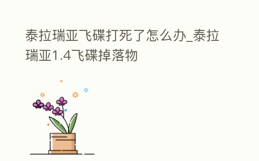 泰拉瑞亞飛碟打死了怎么辦_泰拉瑞亞1.4飛碟掉落物