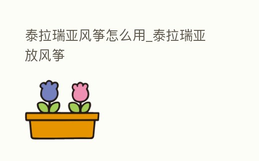 泰拉瑞亞風箏怎么用_泰拉瑞亞 放風箏