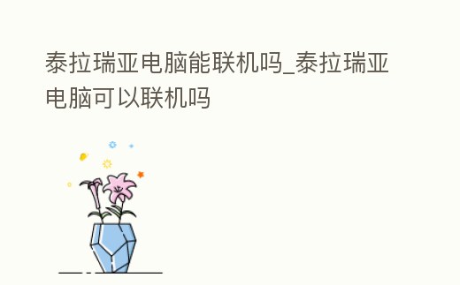 泰拉瑞亞電腦能聯機嗎_泰拉瑞亞電腦可以聯機嗎