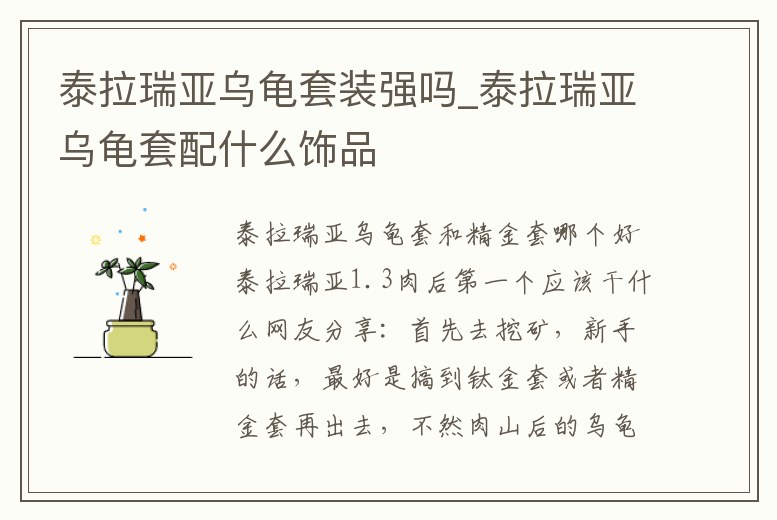 泰拉瑞亞烏龜套裝強嗎_泰拉瑞亞烏龜套配什么飾品