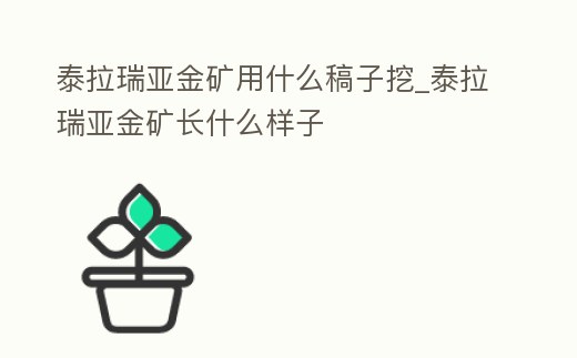 泰拉瑞亞金礦用什么稿子挖_泰拉瑞亞金礦長什么樣子