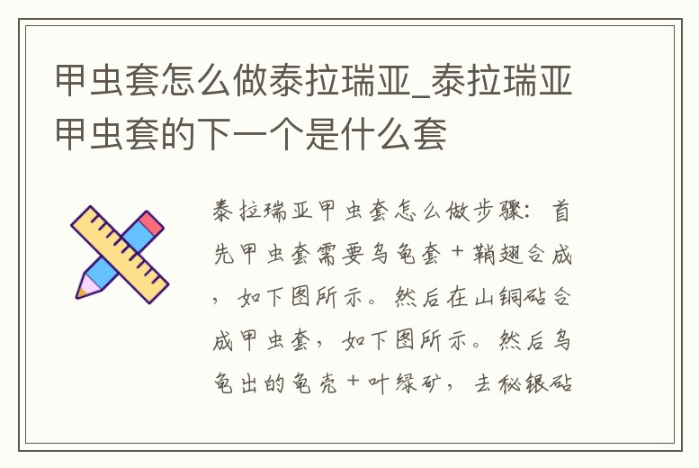 甲蟲套怎么做泰拉瑞亞_泰拉瑞亞甲蟲套的下一個是什么套