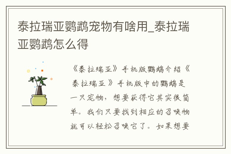 泰拉瑞亞鸚鵡寵物有啥用_泰拉瑞亞鸚鵡怎么得