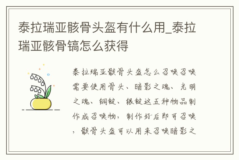 泰拉瑞亞骸骨頭盔有什么用_泰拉瑞亞骸骨鎬怎么獲得