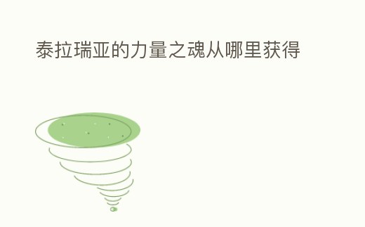 泰拉瑞亞的力量之魂從哪里獲得