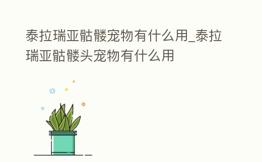 泰拉瑞亞骷髏寵物有什么用_泰拉瑞亞骷髏頭寵物有什么用