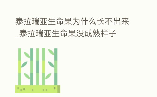 泰拉瑞亞生命果為什么長不出來_泰拉瑞亞生命果沒成熟樣子