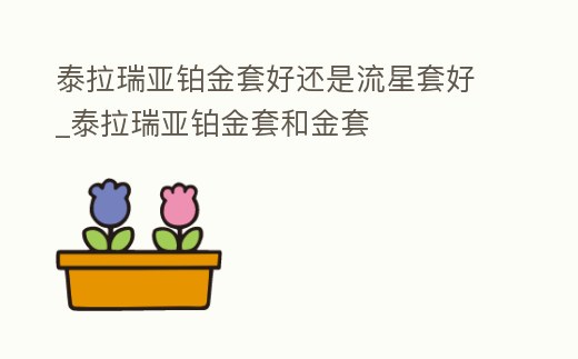 泰拉瑞亞鉑金套好還是流星套好_泰拉瑞亞鉑金套和金套