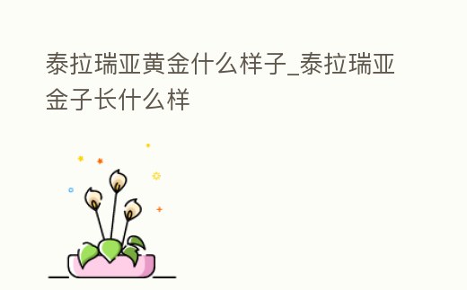 泰拉瑞亞黃金什么樣子_泰拉瑞亞金子長(zhǎng)什么樣