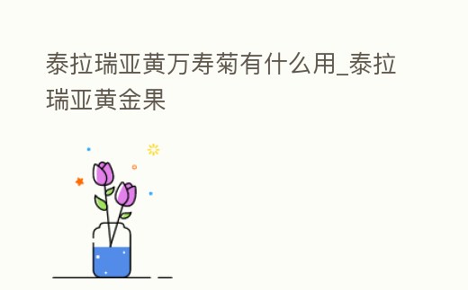 泰拉瑞亞黃萬壽菊有什么用_泰拉瑞亞黃金果