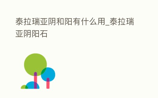 泰拉瑞亞陰和陽有什么用_泰拉瑞亞陰陽石