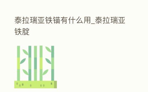 泰拉瑞亞鐵錨有什么用_泰拉瑞亞鐵腚