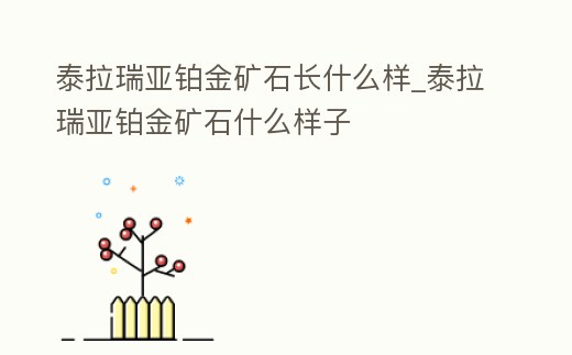 泰拉瑞亞鉑金礦石長什么樣_泰拉瑞亞鉑金礦石什么樣子