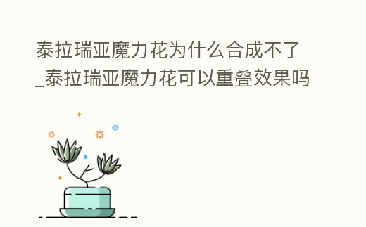 泰拉瑞亞魔力花為什么合成不了_泰拉瑞亞魔力花可以重疊效果嗎