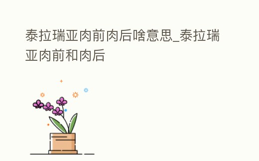 泰拉瑞亞肉前肉后啥意思_泰拉瑞亞肉前和肉后