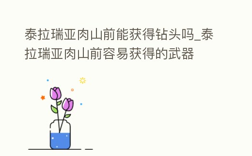 泰拉瑞亞肉山前能獲得鉆頭嗎_泰拉瑞亞肉山前容易獲得的武器