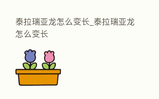 泰拉瑞亞龍怎么變長_泰拉瑞亞龍怎么變長