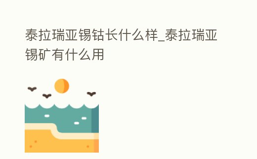 泰拉瑞亞錫鈷長什么樣_泰拉瑞亞錫礦有什么用
