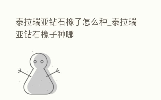 泰拉瑞亞鉆石橡子怎么種_泰拉瑞亞鉆石橡子種哪