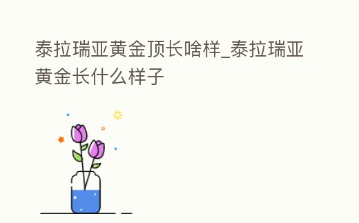 泰拉瑞亞黃金頂長啥樣_泰拉瑞亞黃金長什么樣子