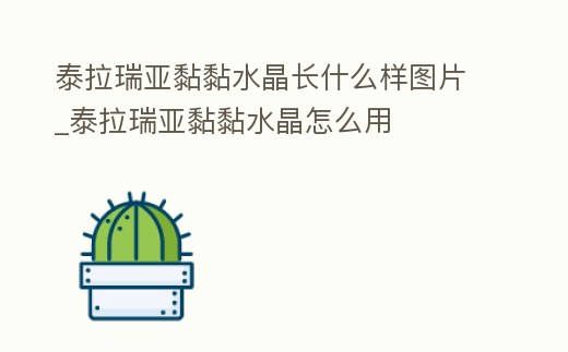 泰拉瑞亞黏黏水晶長(zhǎng)什么樣圖片_泰拉瑞亞黏黏水晶怎么用
