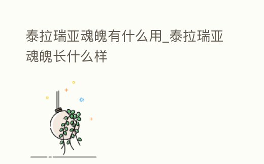 泰拉瑞亞魂魄有什么用_泰拉瑞亞魂魄長什么樣