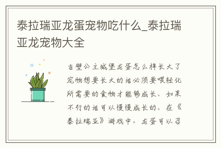 泰拉瑞亞龍蛋寵物吃什么_泰拉瑞亞龍寵物大全