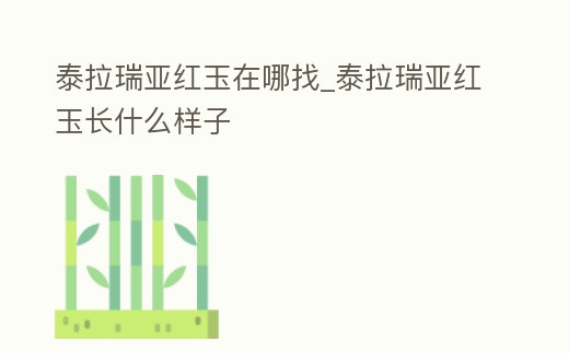 泰拉瑞亞紅玉在哪找_泰拉瑞亞紅玉長什么樣子